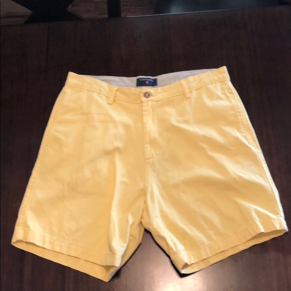 Yellow saddlebred shorts